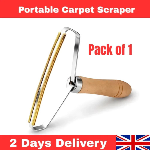 Portable lint remover carpet - portable,