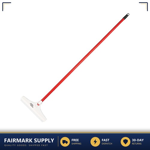 Carpet rake and groomer - rake, 12